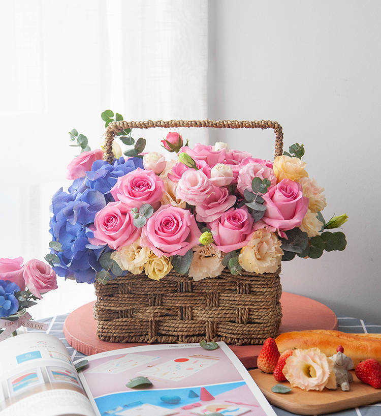 Champagne Champagne Hydrangea