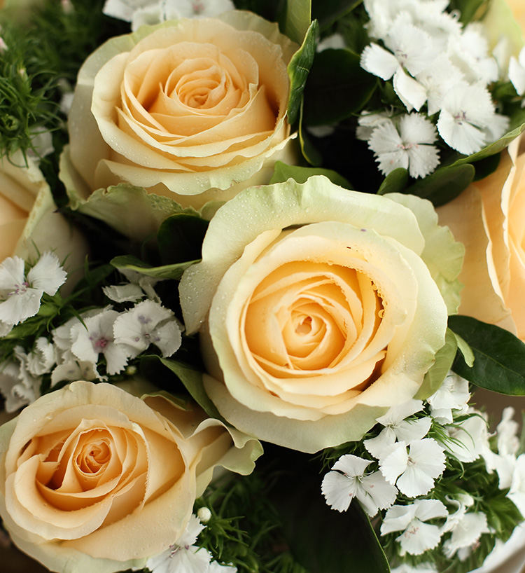 Champagne Champagne Roses — alternate view