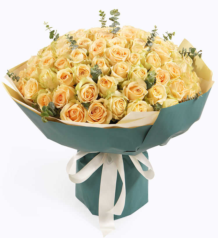 Champagne Champagne Roses