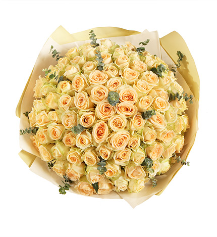Champagne Champagne Roses — alternate view