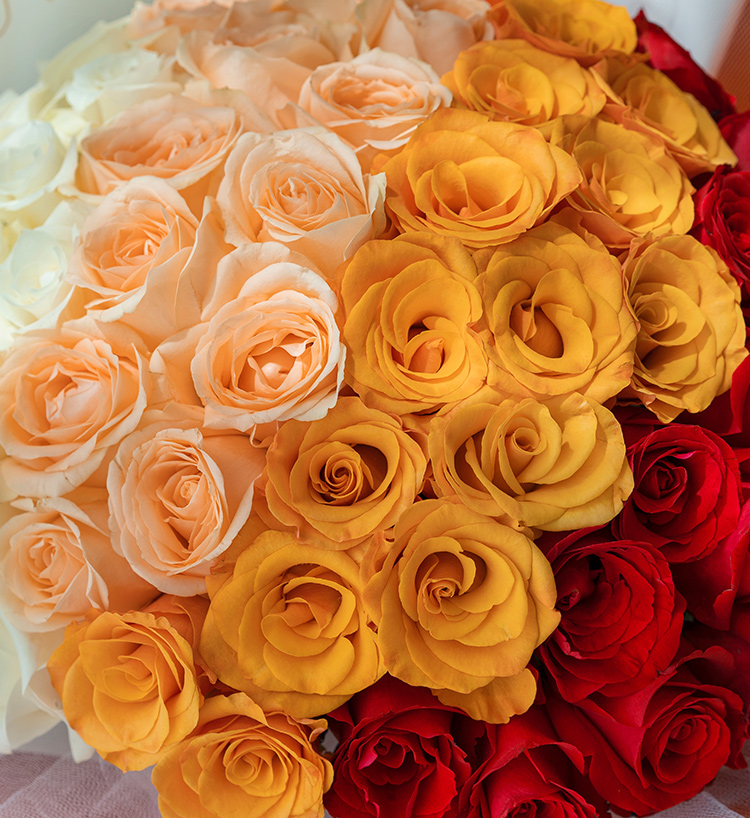 Champagne Red Roses — alternate view