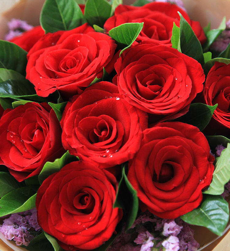 Corolla Red Roses — alternate view