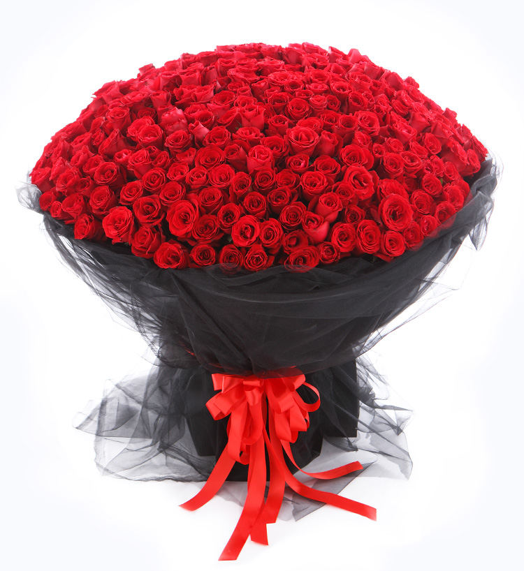 Corolla Red Roses — alternate view