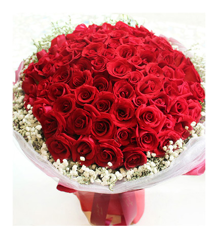 Corolla Red Roses