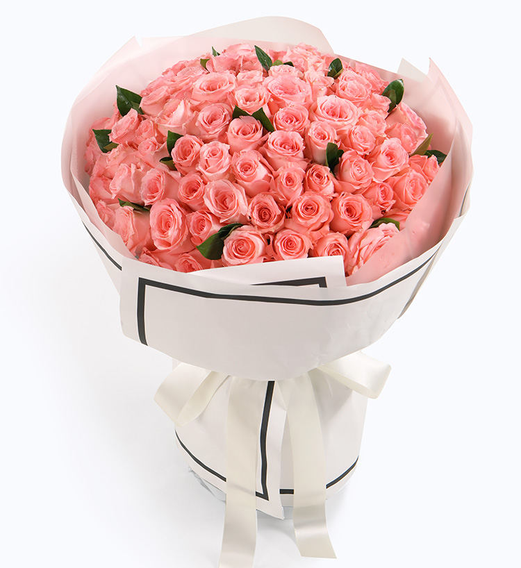 Diana Pink Roses