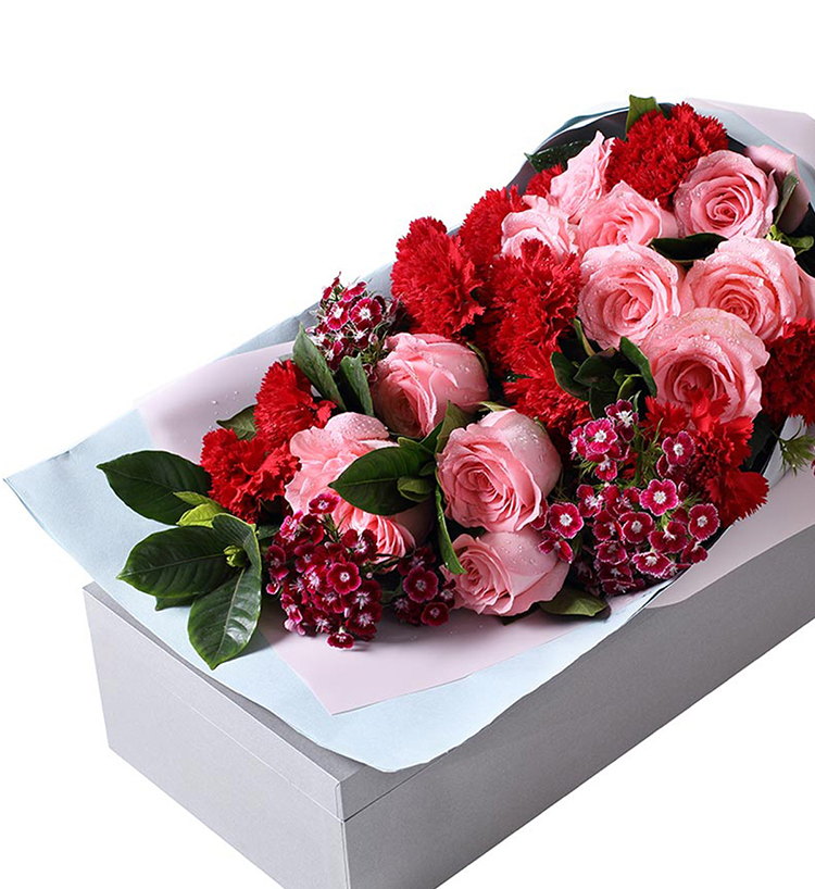 Diana Pink Roses — alternate view