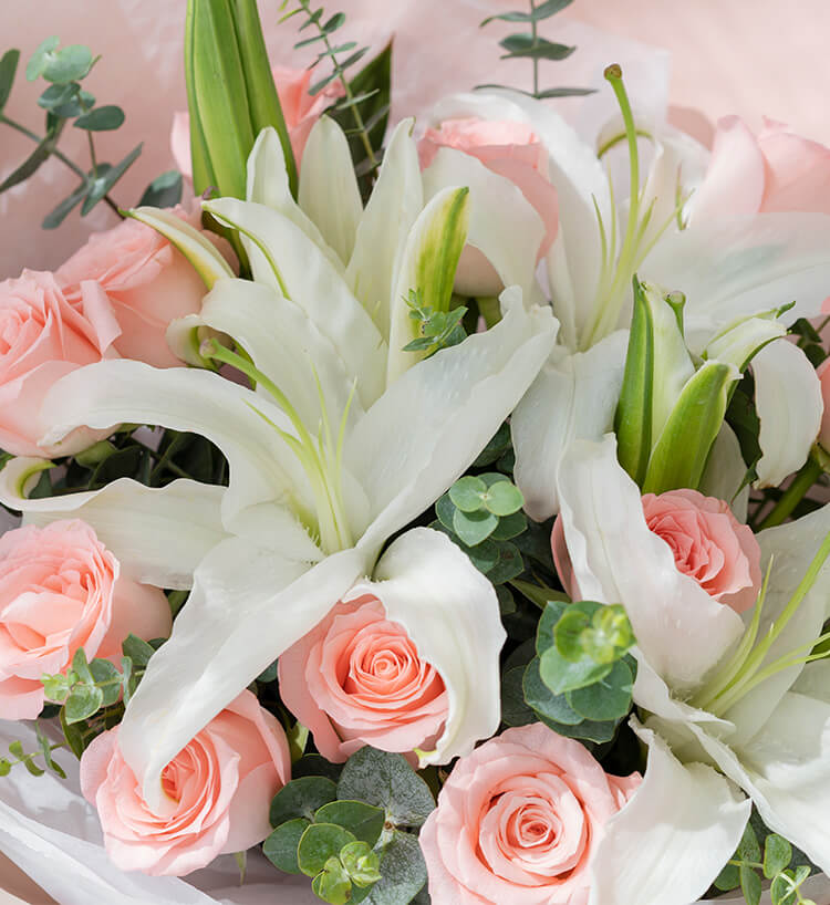 Happy Lily & Rose Classic — alternate view