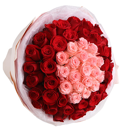 Fifty Diana Pink Roses Bouquet — alternate view