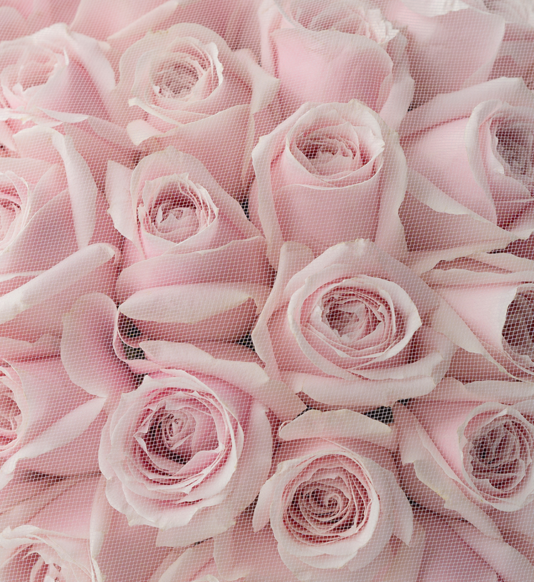 Thirty-three Roses Bouquet — alternate view
