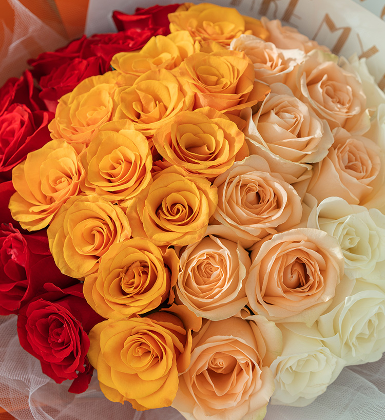 Nine Orange Roses Bouquet — alternate view