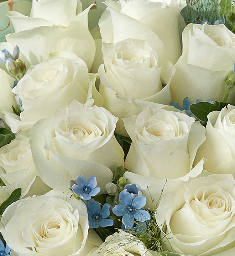 Nineteen Roses & Blue Star Flowers & Fountain Grass Bouquet — alternate view
