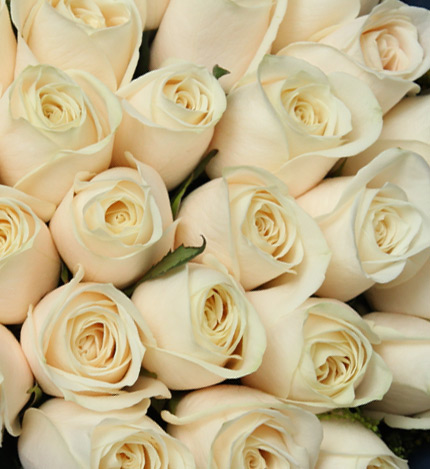 Twenty-nine Roses Bouquet — alternate view