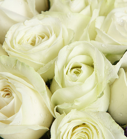 Nineteen Roses Bouquet — alternate view