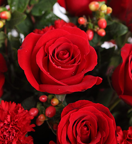 Twelve Roses & Red Carnations Bouquet — alternate view