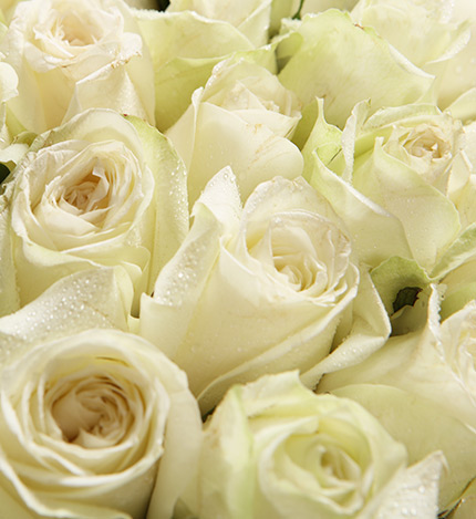99 Roses Bouquet — alternate view