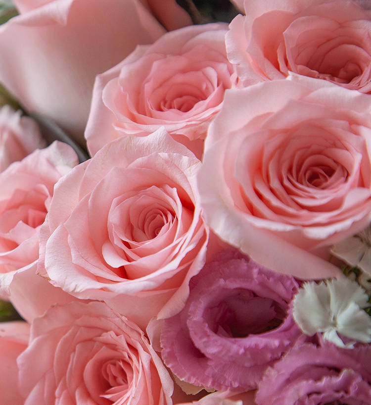 Nineteen Roses Bouquet — alternate view