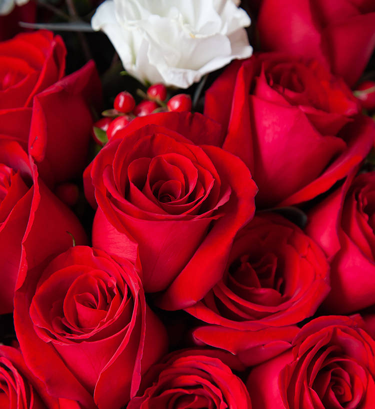 Nineteen Roses & White Lisianthus Bouquet — alternate view