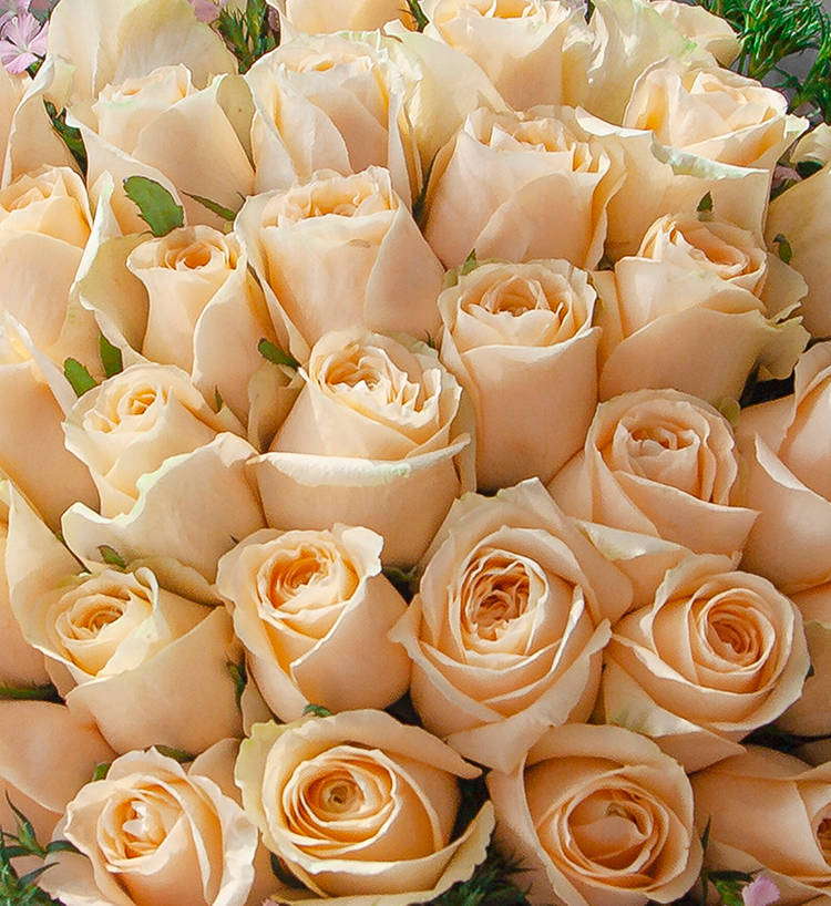 Thirty-three Roses Bouquet — alternate view