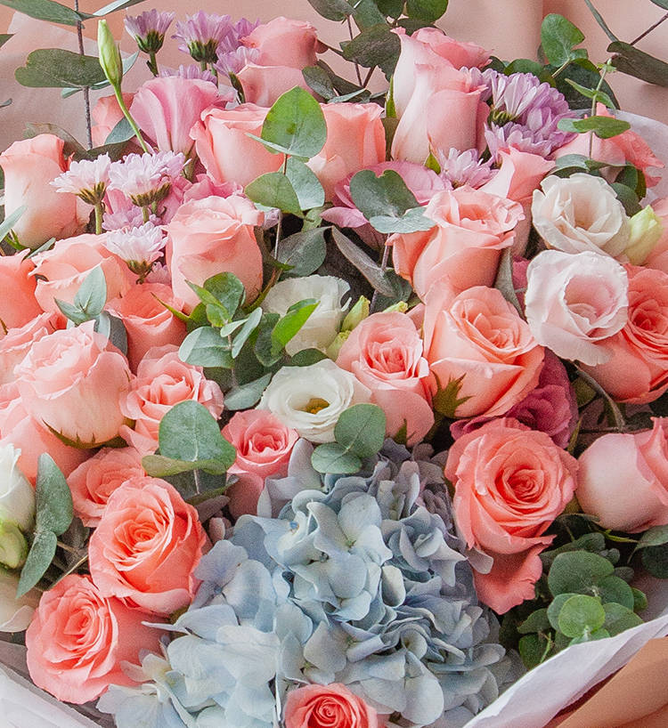 Love at First Sight Roses — alternate view