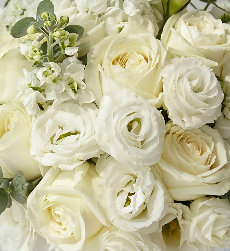 Pink Roses — alternate view