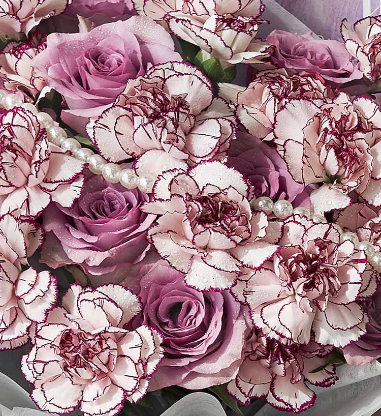 Purple Roses — alternate view