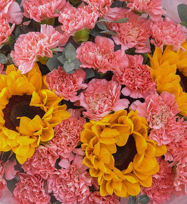 Smile Brightly — alternate view