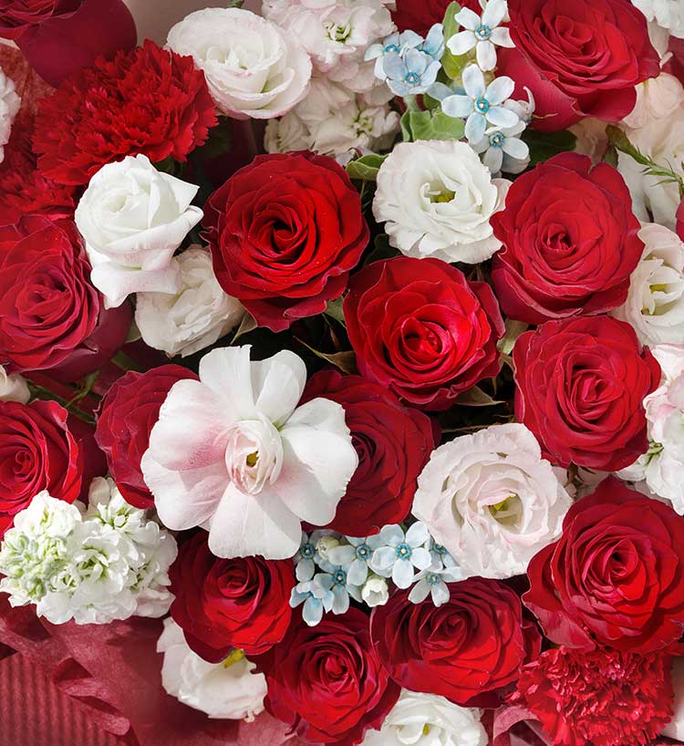 Tender Passion Red Roses — alternate view