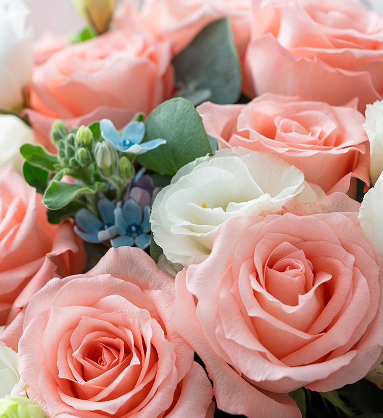 True Heart Pink Roses