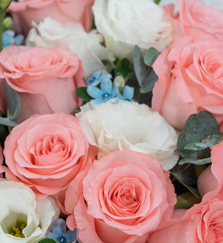 True Heart Pink Roses — Plus