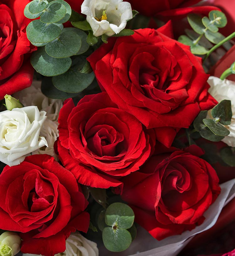 True Heart Red Roses — alternate view