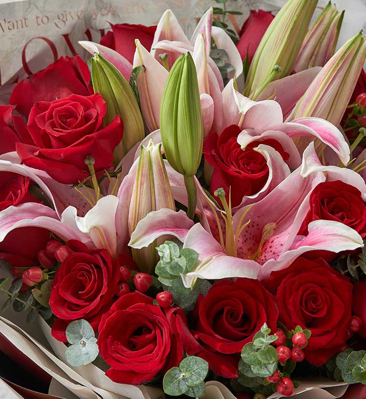 Warm Beginning Red Roses — alternate view